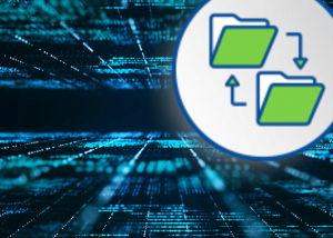 Data Sharing | ProvePrivacy | Article Image 12 | Transferring personal data